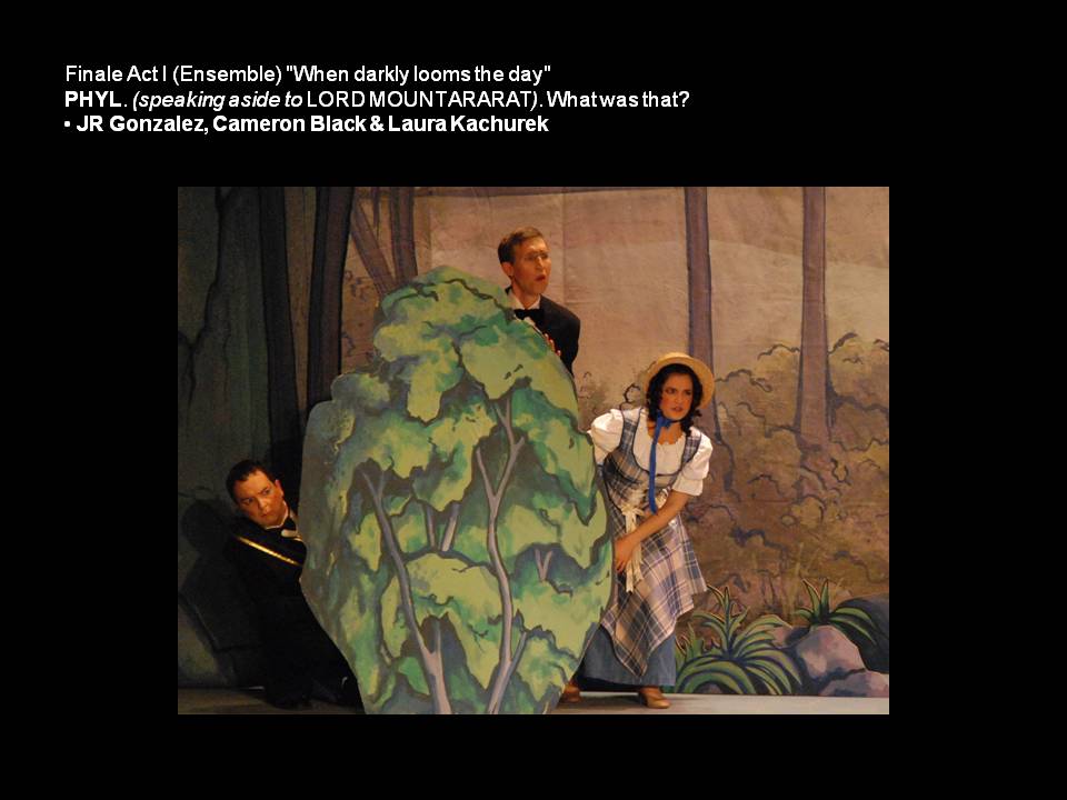 2010-iolanthe-13.jpg