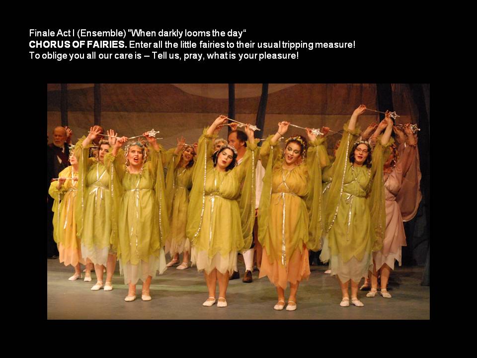 2010-iolanthe-17.jpg